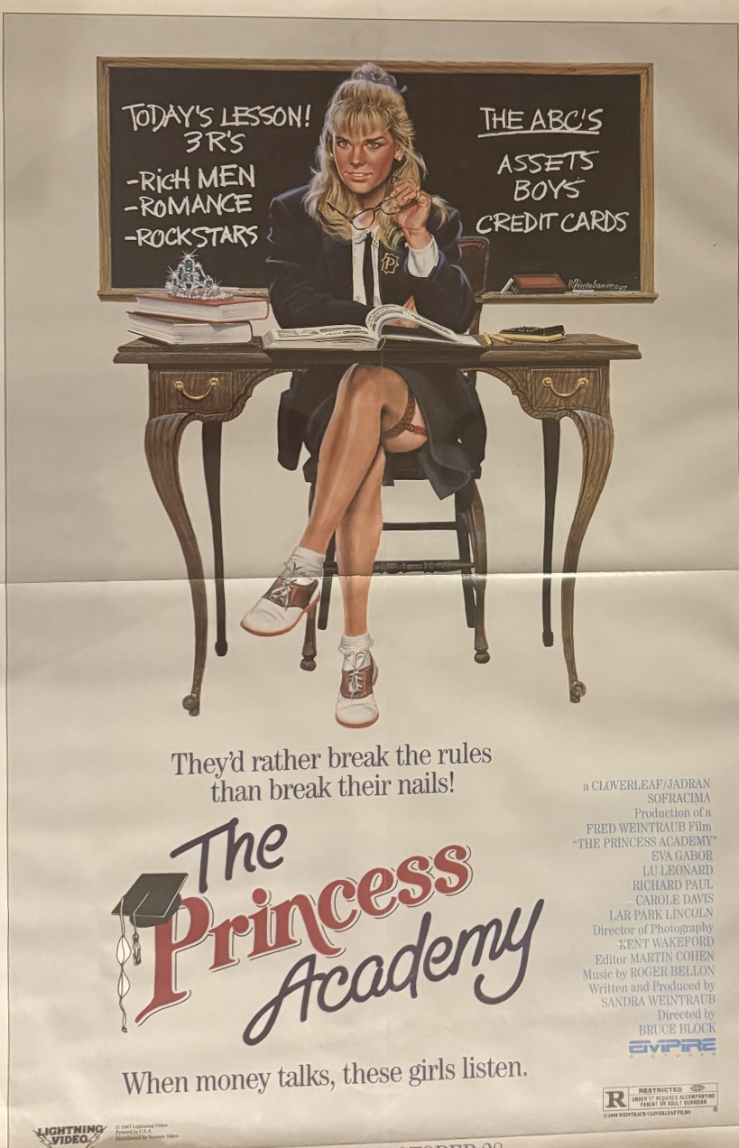 Actual The Princess Academy — Lightning Video promotional poster front photograph